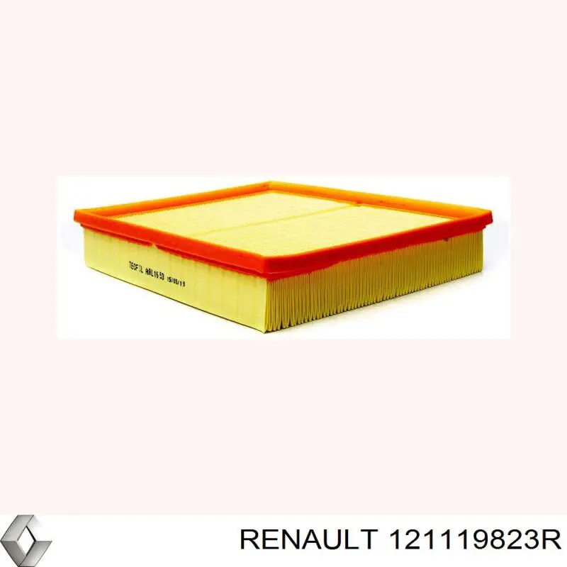 121119823R Renault (RVI)