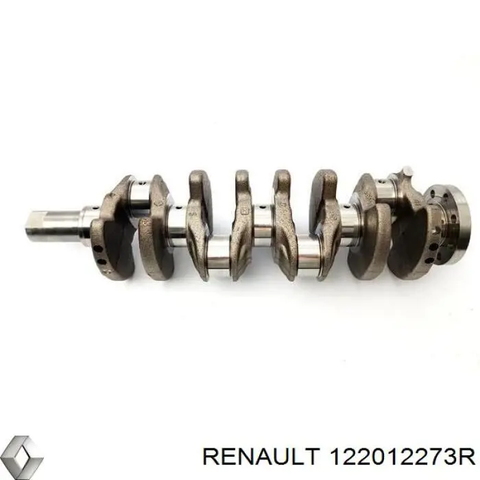 Cigüeñal para Renault Scenic (R9)