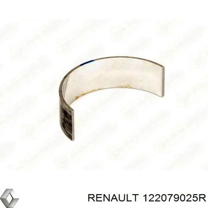 122079025R Renault (RVI)