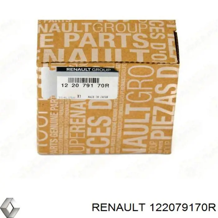 122079170R Renault (RVI) Juego de cojinetes de biela, estándar (STD)