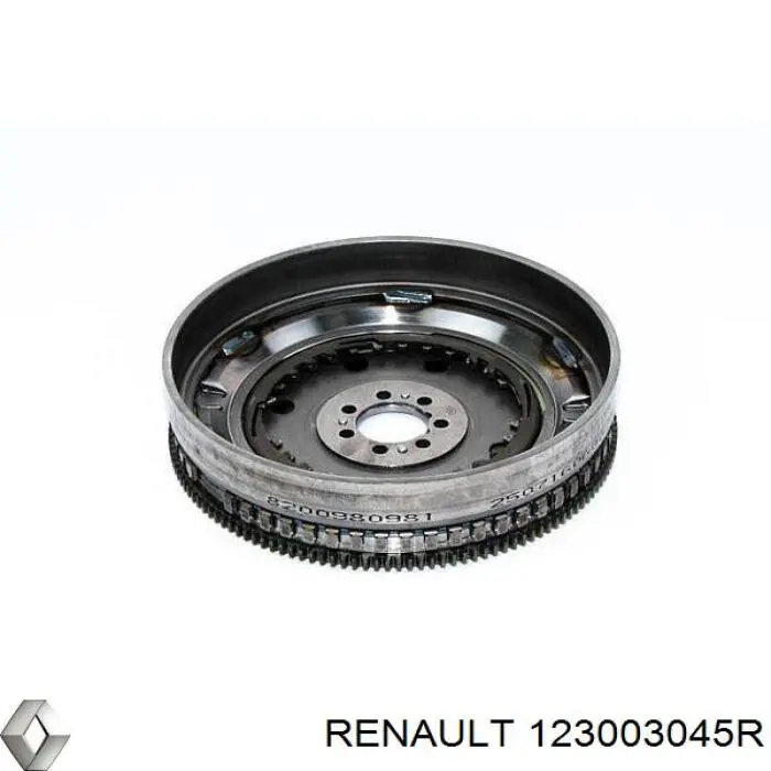 Motor de volante Renault (RVI) 123003045R precio, desde 483,86 EUR