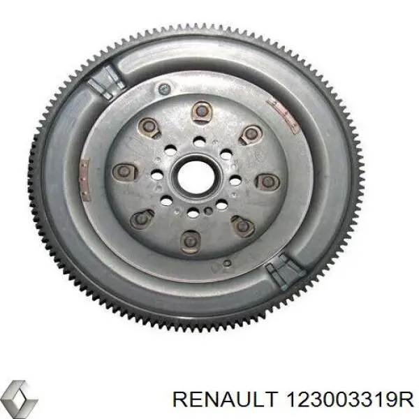 Motor de volante Renault (RVI) 123003319R precio, desde 461,90 EUR