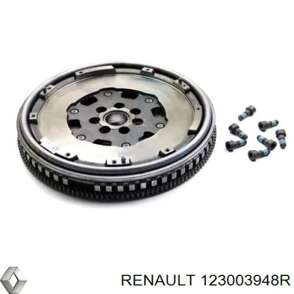 Motor de volante Renault (RVI) 123003948R precio, desde 298,88 EUR