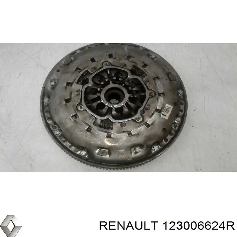 Motor de volante Renault (RVI) 123006624R precio, desde 511,19 EUR
