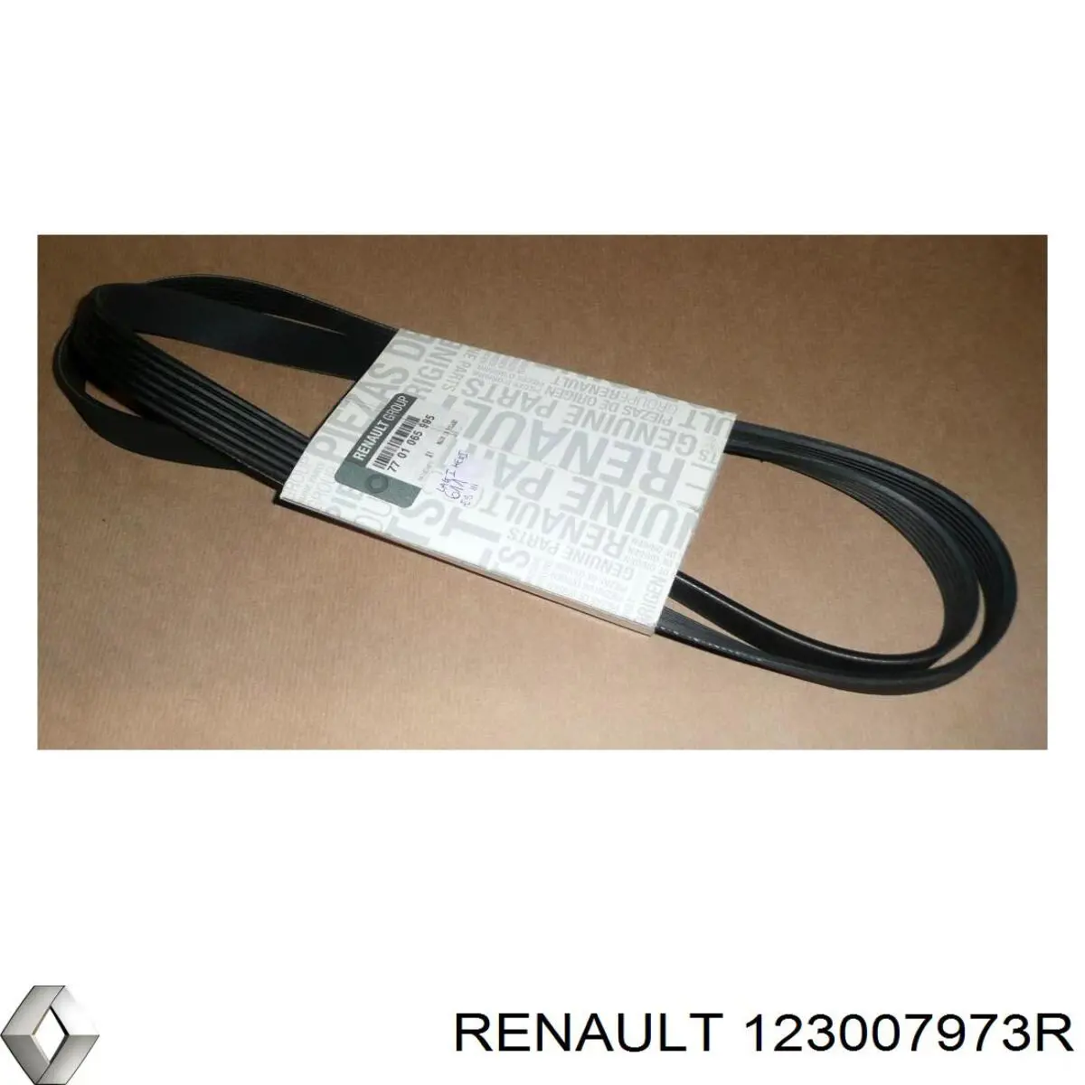 123007973R Renault (RVI)