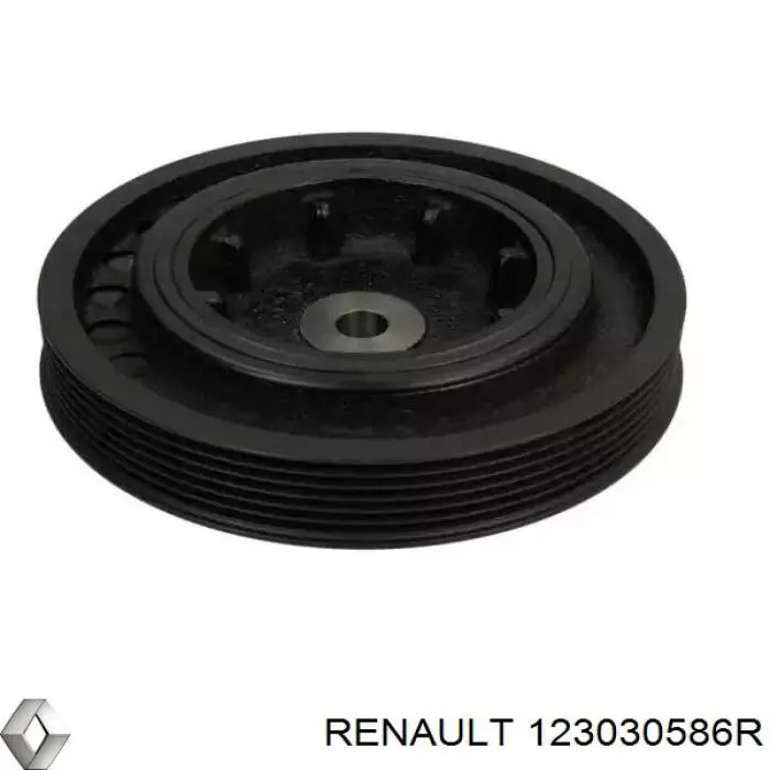 123030586R Renault (RVI) Dámper