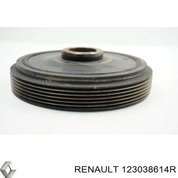 123038614R Renault (RVI) Dámper