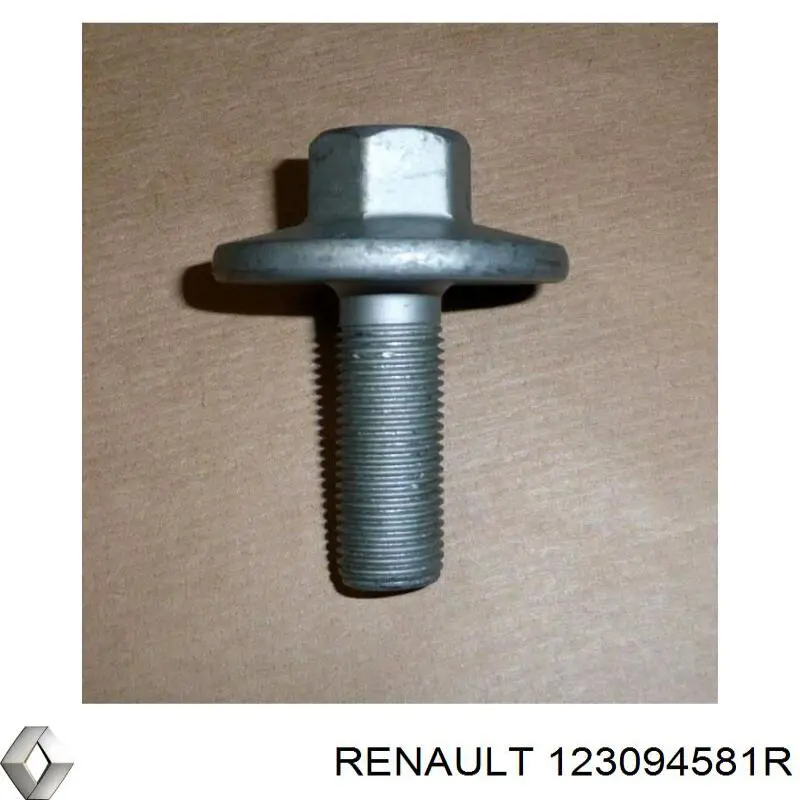 123094581R Renault (RVI)