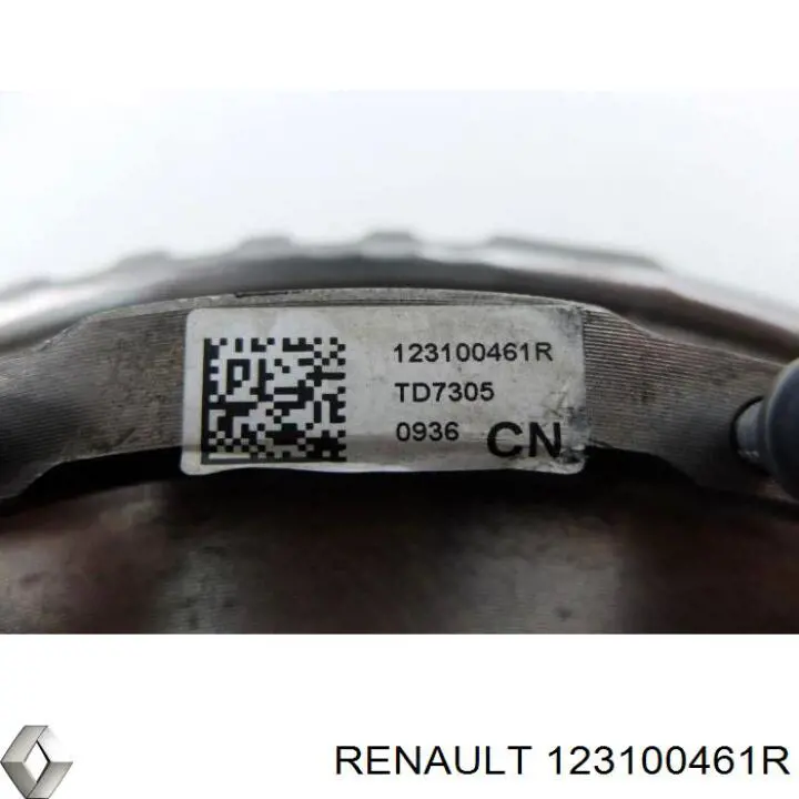 123100461R Renault (RVI)