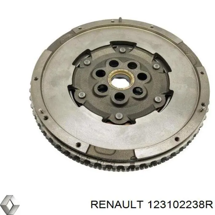 123102238R Renault (RVI)