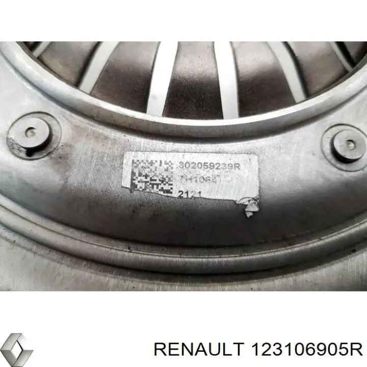 Comprar 123106905R Renault (RVI) 