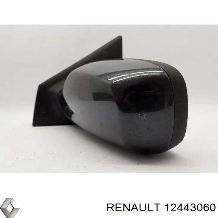 12443060 Renault (RVI)