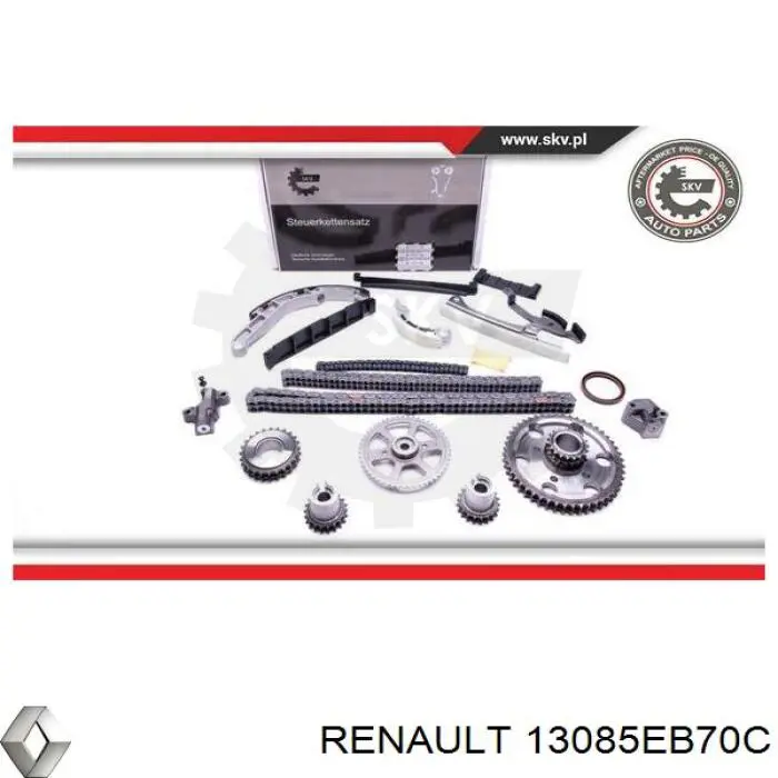 13085EB70C Renault (RVI) carril de deslizamiento, cadena de distribución izquierdo