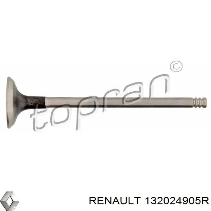 Válvula de escape Renault (RVI) 132024905R precio, desde 8,82 EUR