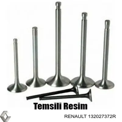 Válvula de escape Renault (RVI) 132027372R precio, desde 11,80 EUR