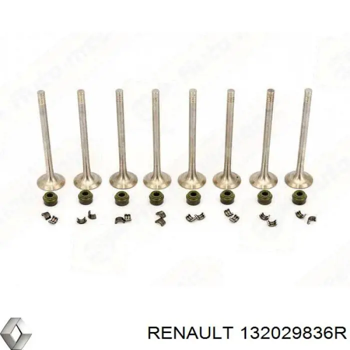 132029836R Renault (RVI) válvula de escape