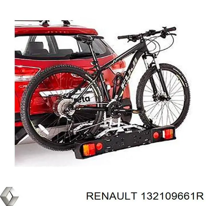  132109661R Renault (RVI)