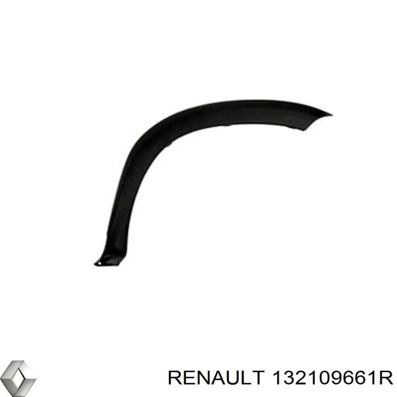 132109661R Renault (RVI)