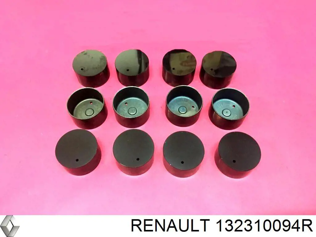 Taqués hidráulicos Renault (RVI) 132310094R precio, desde 18,72 EUR