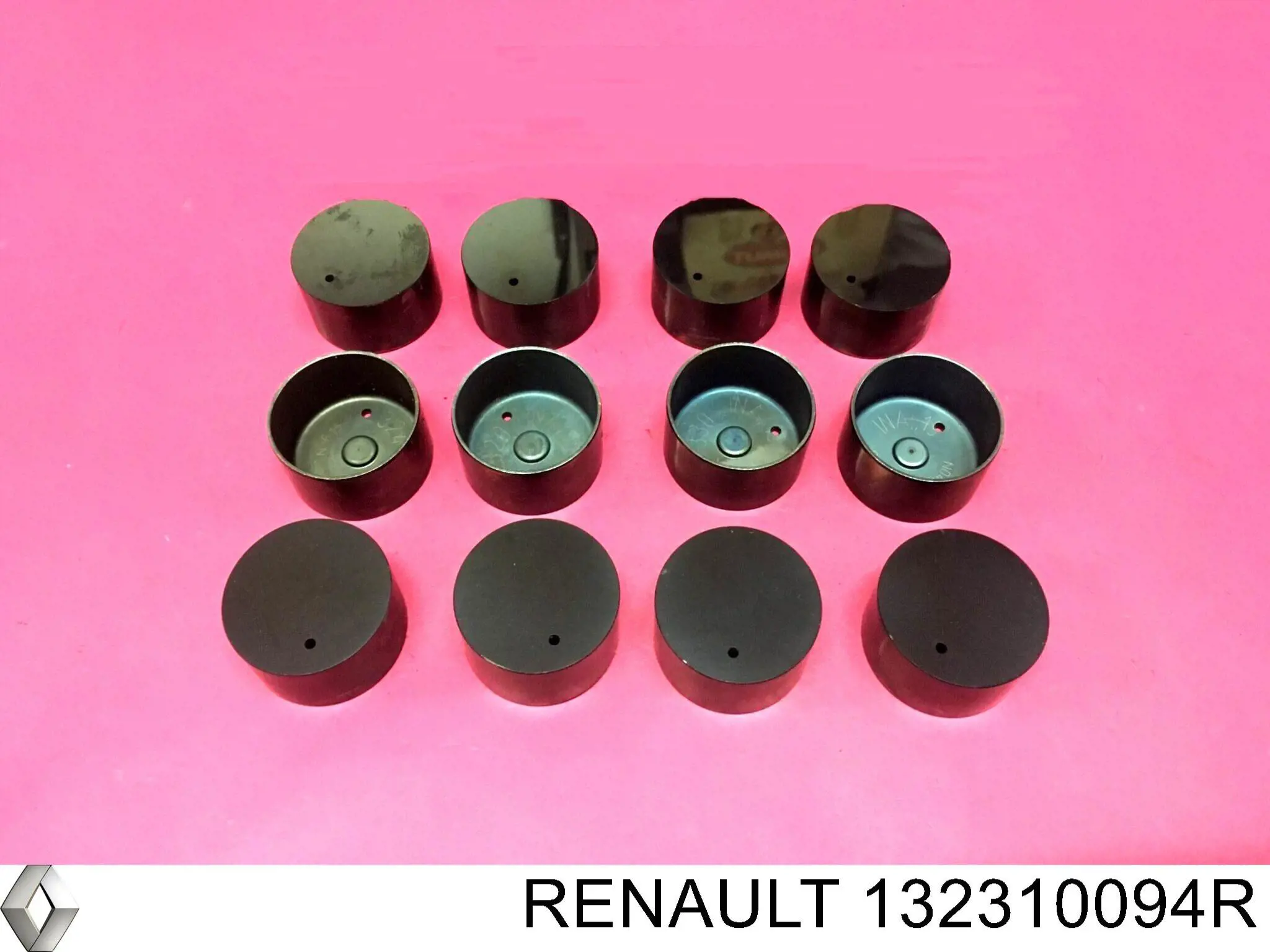 132310094R Renault (RVI)