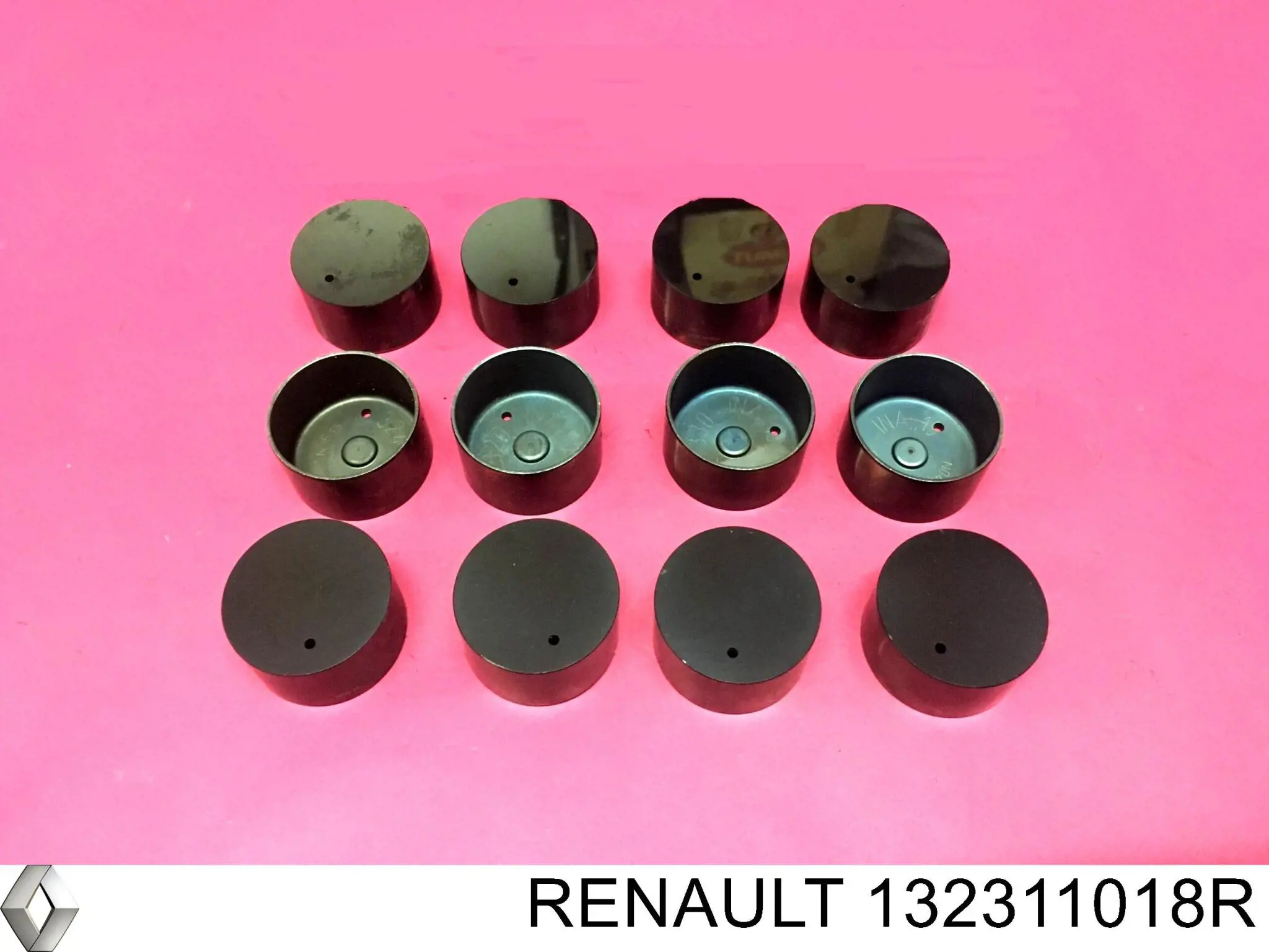 132311018R Renault (RVI)