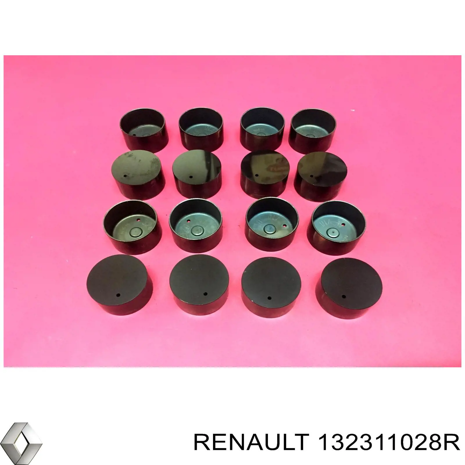 Taqués hidráulicos Renault (RVI) 132311028R precio, desde  