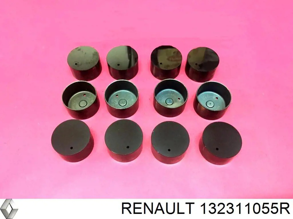 Taqués hidráulicos Renault (RVI) 132311055R precio, desde 17,66 EUR