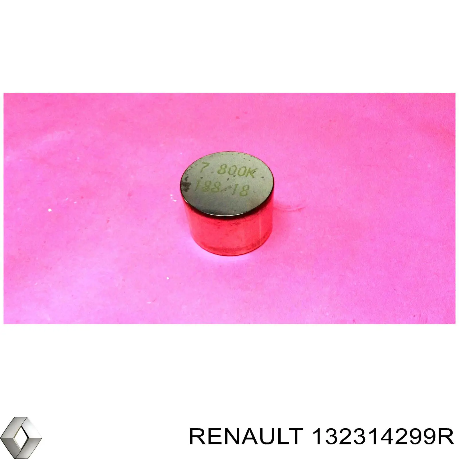 132314299R Renault (RVI)