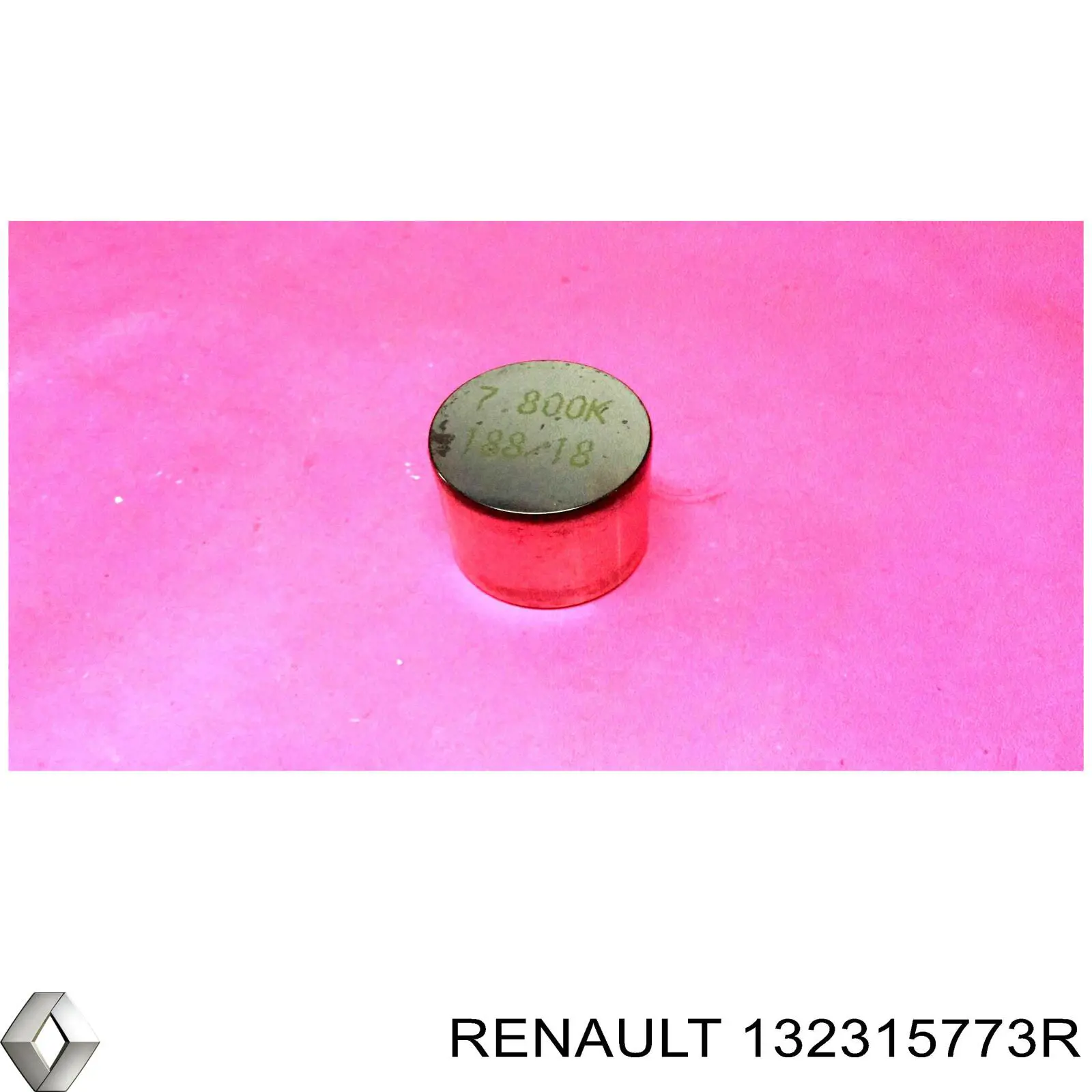Taqués hidráulicos Renault LOGAN II sedán (L52) (2012 - 2026) precio, desde  