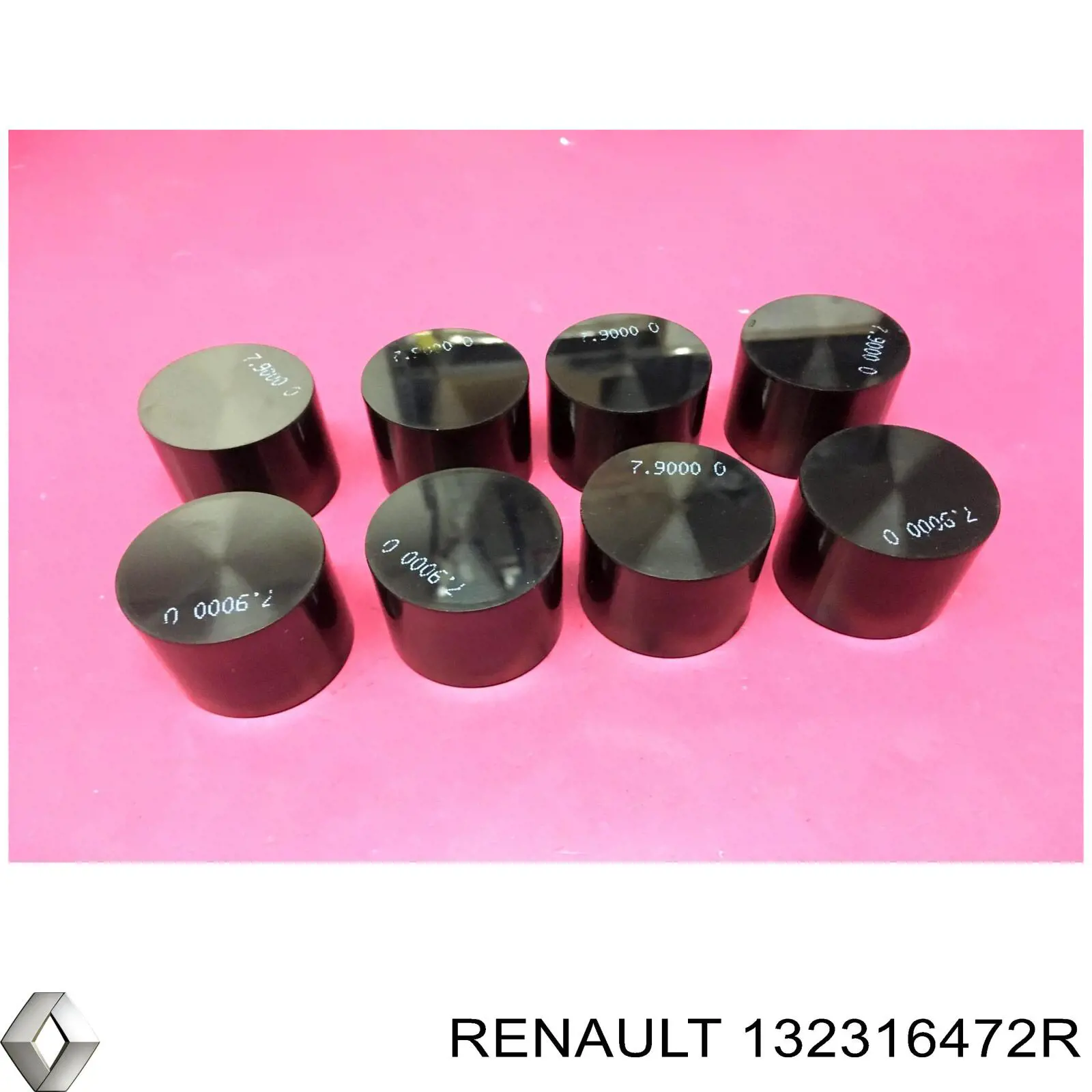 Taqués hidráulicos Renault (RVI) 132316472R precio, desde  EUR