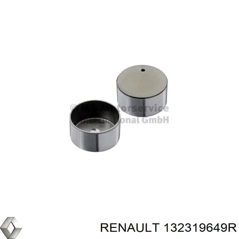 132319649R Renault (RVI)