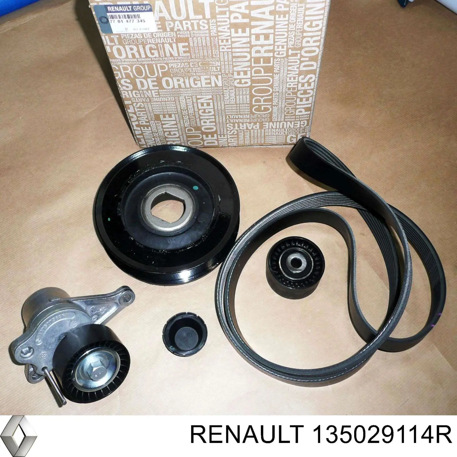 135029114R Renault (RVI)