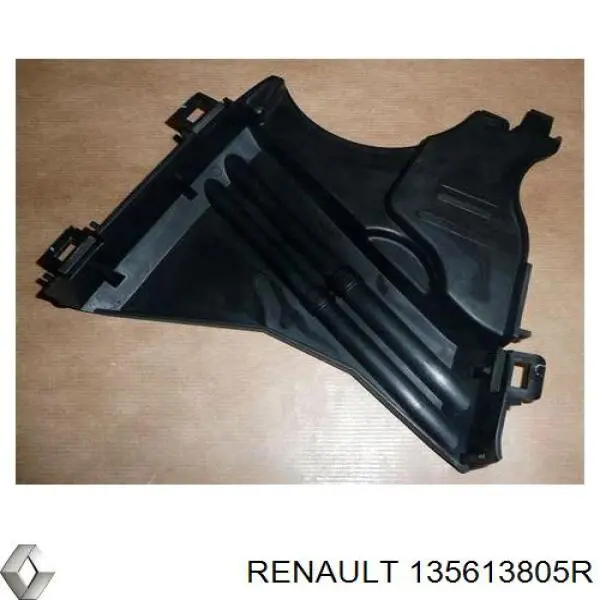 135613805R Renault (RVI) tapa de correa de distribución inferior