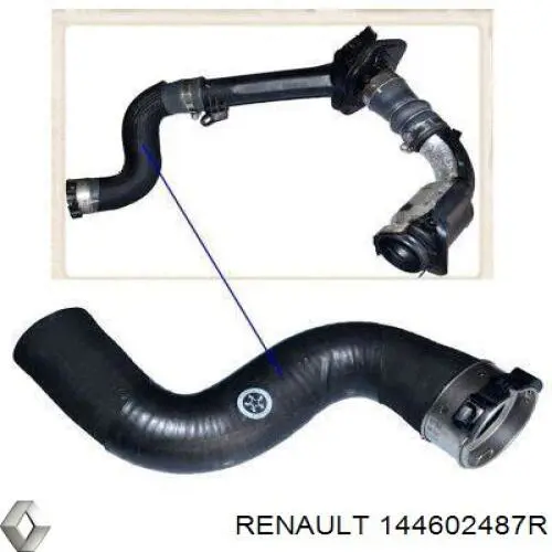 144602487R Renault (RVI) tubo flexible de aire de sobrealimentación, de turbina