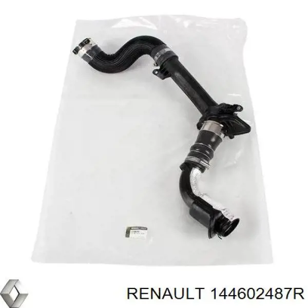 Tubo de salida de aire del turbocompresor Renault (RVI) 144602487R precio, desde 47,83 EUR