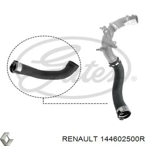 144602500R Renault (RVI) tubo flexible de aire de sobrealimentación derecho