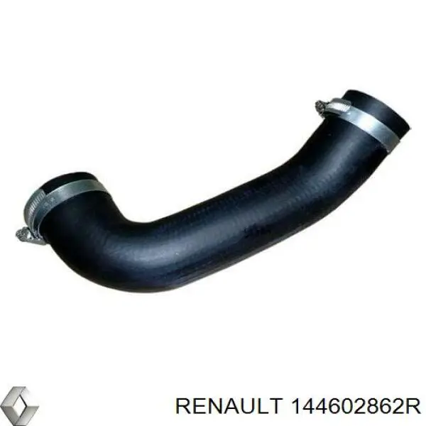 Manguera del intercooler Renault (RVI) 144602862R precio, desde 78,63 EUR
