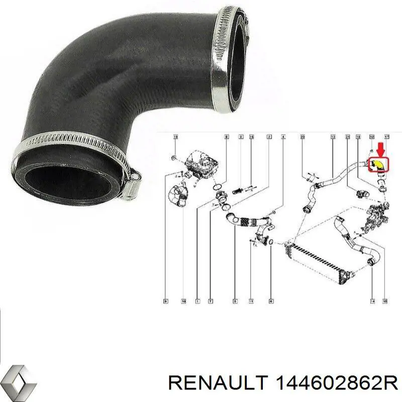 Tubo intercooler 144602862R Renault (RVI)