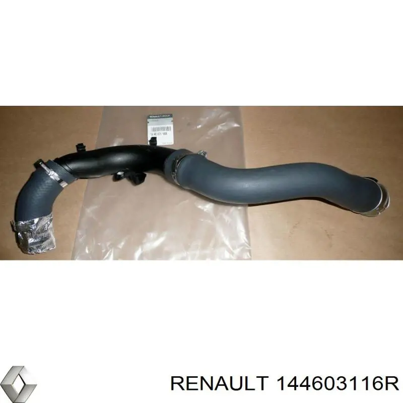 Comprar 144603116R Renault (RVI) Tubo intercooler