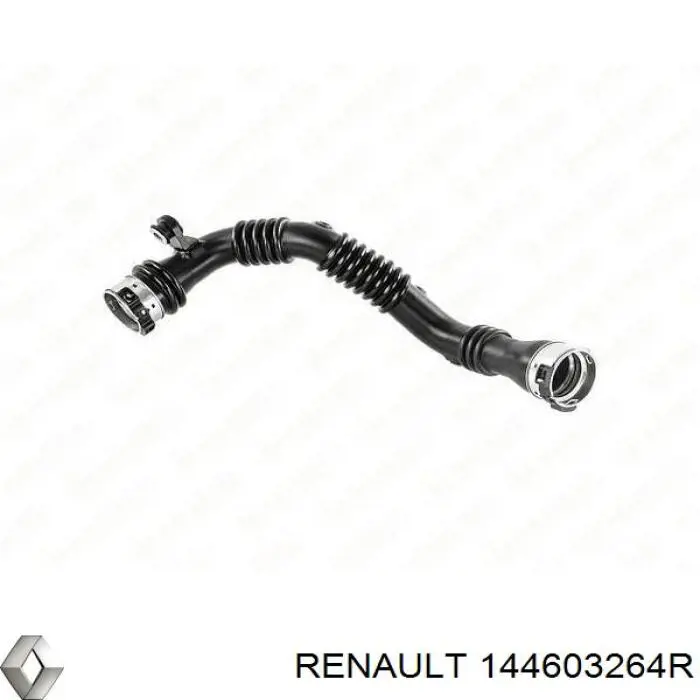 Manguera del intercooler Renault (RVI) 144603264R precio, desde 79,86 EUR