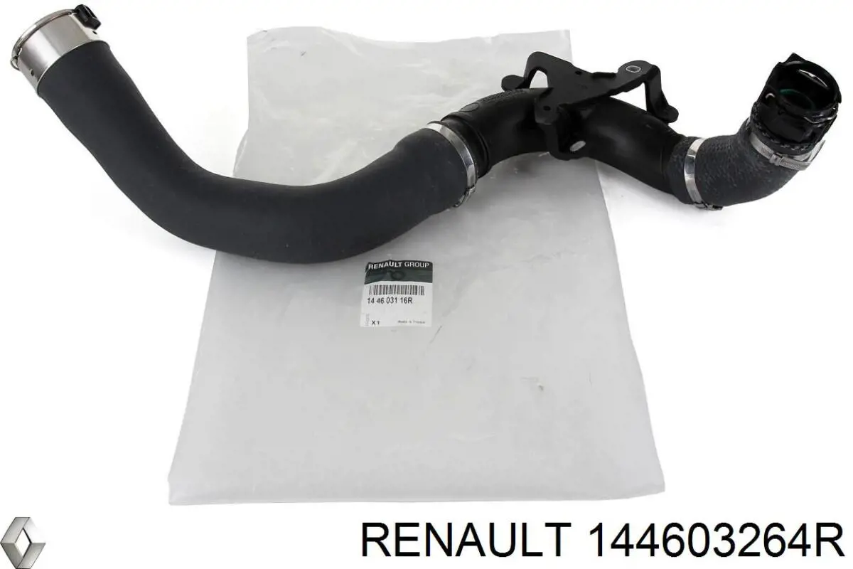 Tubo flexible de aire de sobrealimentación Renault (RVI) 144603264R