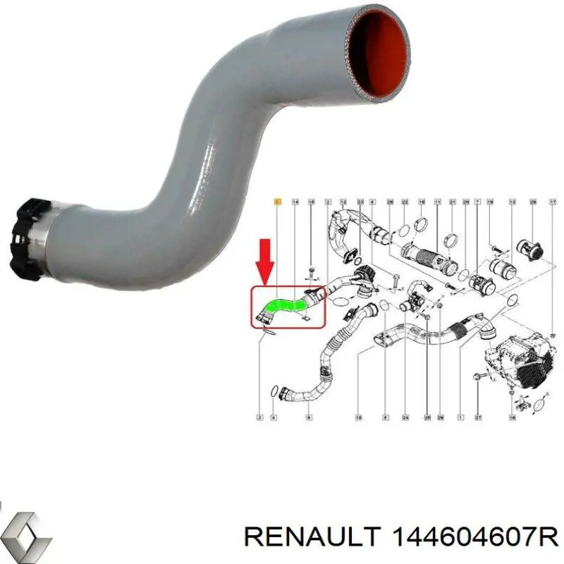 Tubo flexible de aire de sobrealimentación SKV 24SKV922