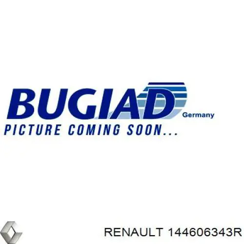 Manguera del intercooler Renault (RVI) 144606343R precio, desde 48,73 EUR