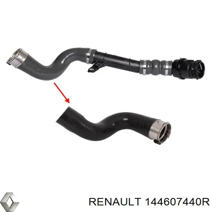 Comprar 144607440R Renault (RVI) Tubo intercooler