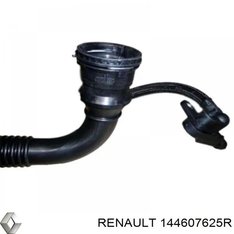 Manguera del intercooler Renault (RVI) 144607625R precio, desde 142,93 EUR