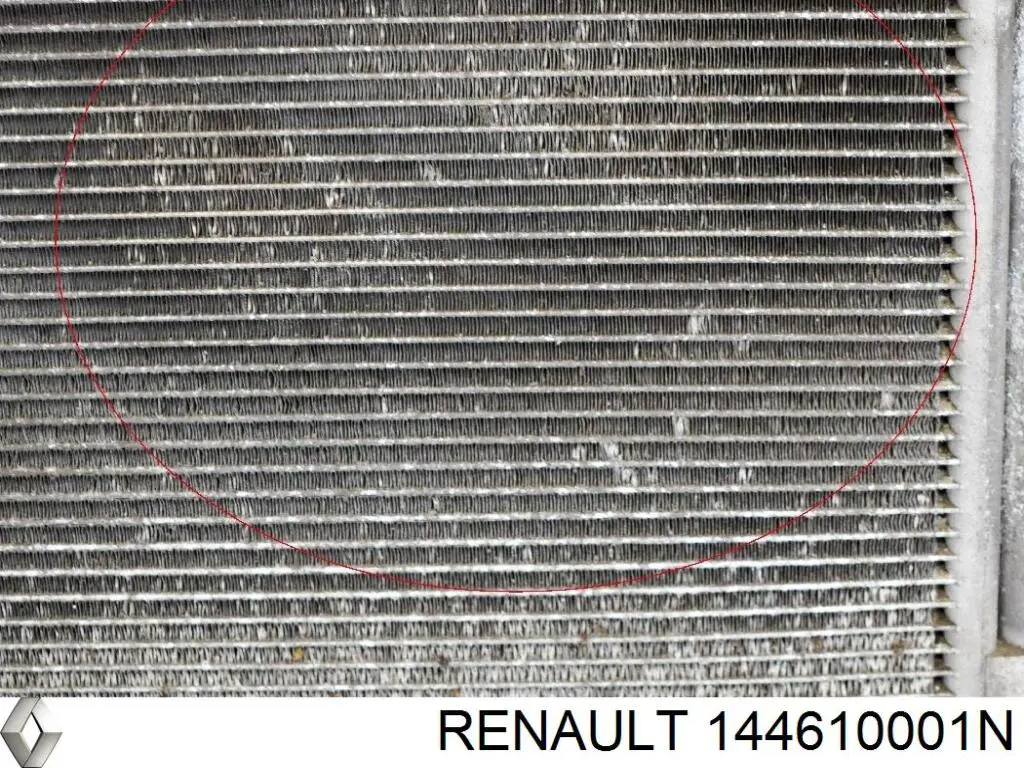 Comprar 144610001N Renault (RVI) Turbo intercooler