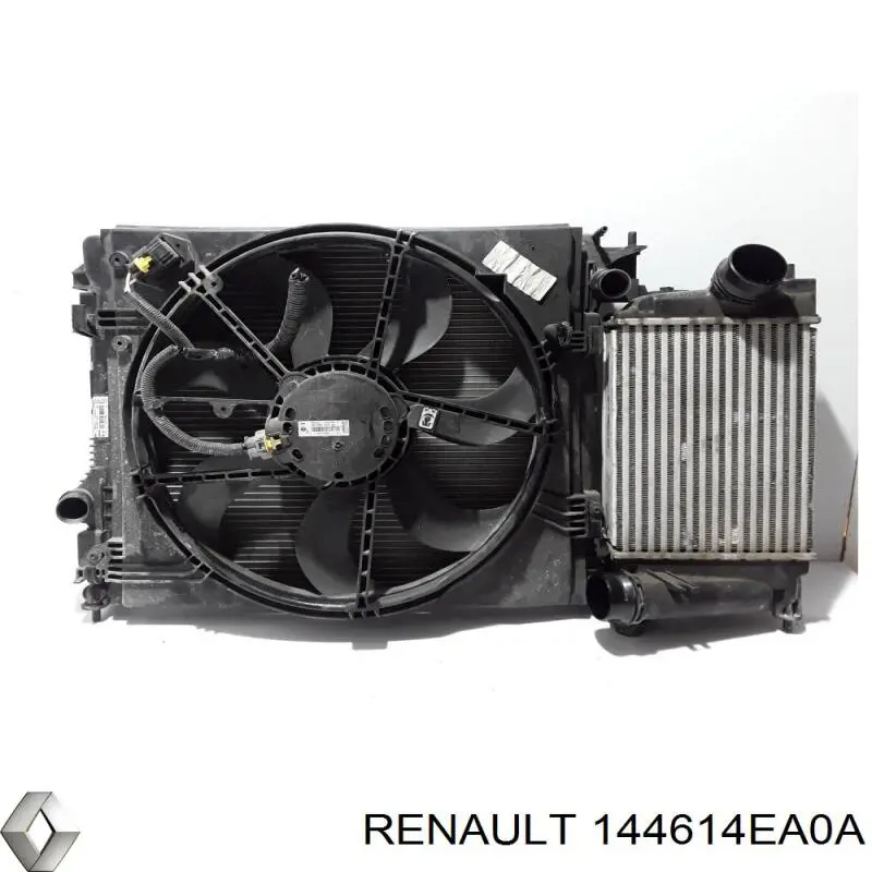 Enfriador de aire de admisión Renault (RVI) 144614EA0A