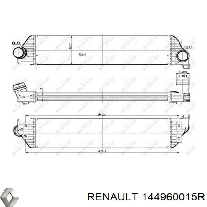 Enfriador de aire de admisión Renault (RVI) 144960015R