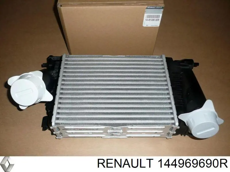 144969690R Renault (RVI)