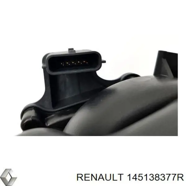 Cuerpo de aceleración completo Renault (RVI) 145138377R precio, desde 258,82 EUR